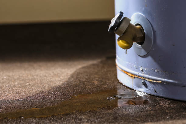 Best Residential water damage restoration  in Poseyville, IN