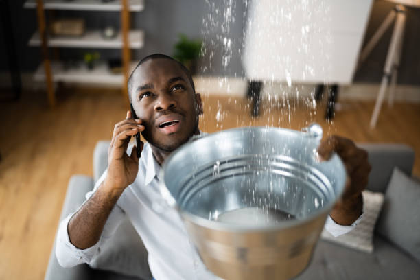 Best Local water damage restoration  in Poseyville, IN