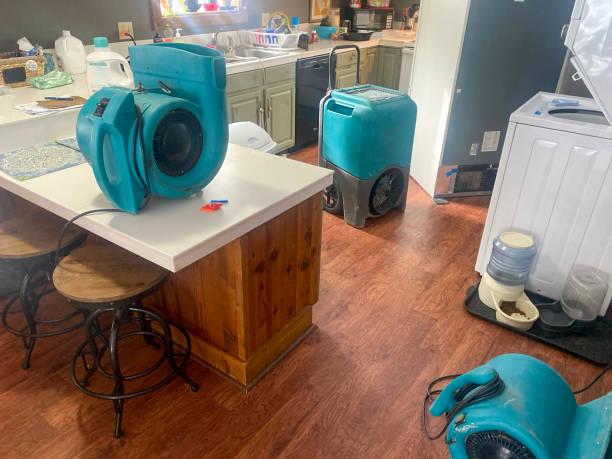 Best 24/7 water damage repair  in Poseyville, IN