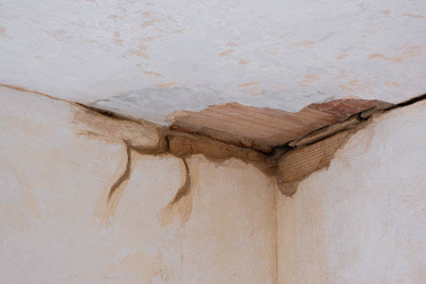 Best Flood damage cleanup  in Poseyville, IN