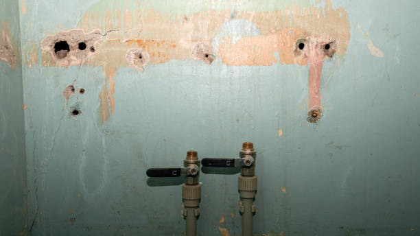 Best Fire Damage Restoration  in Poseyville, IN