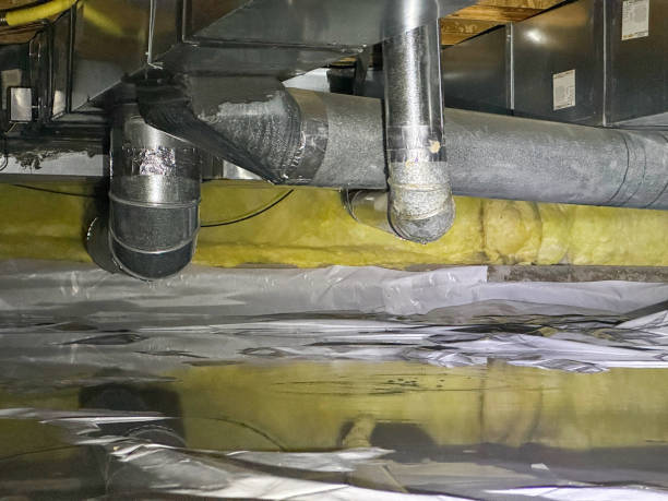 Water damage restoration experts in IN